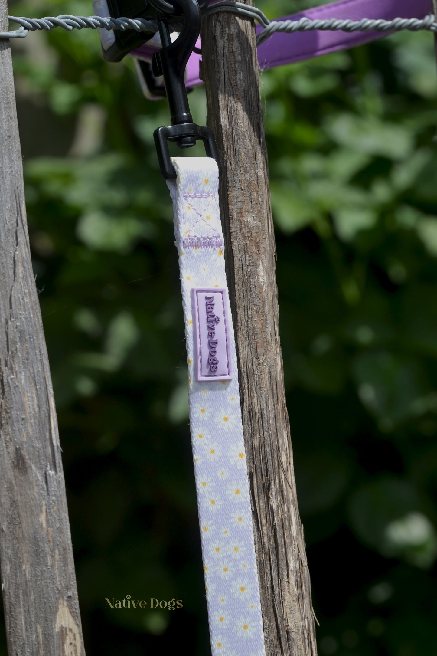 Sparks & Bloom - Hondenlijn