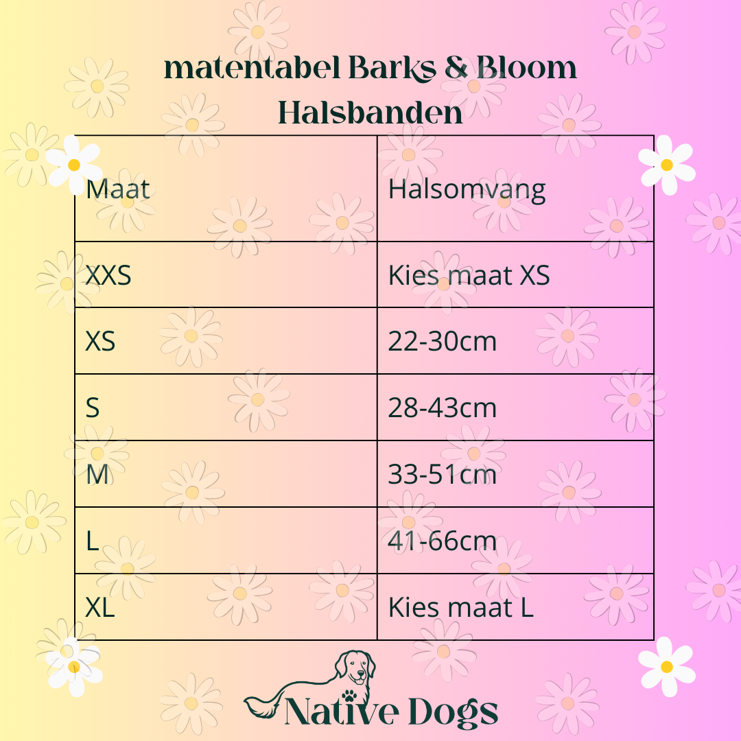 Spark & Bloom Halsband