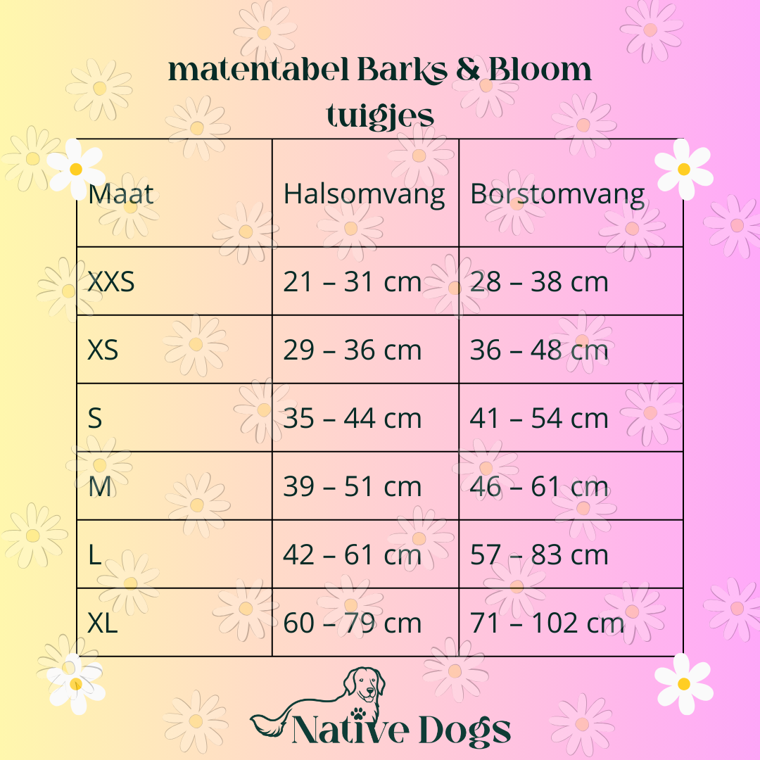 Spark & Bloom – Daisy Dream Tuigje