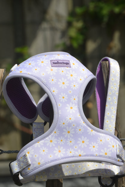 Spark & Bloom – Daisy Dream Tuigje