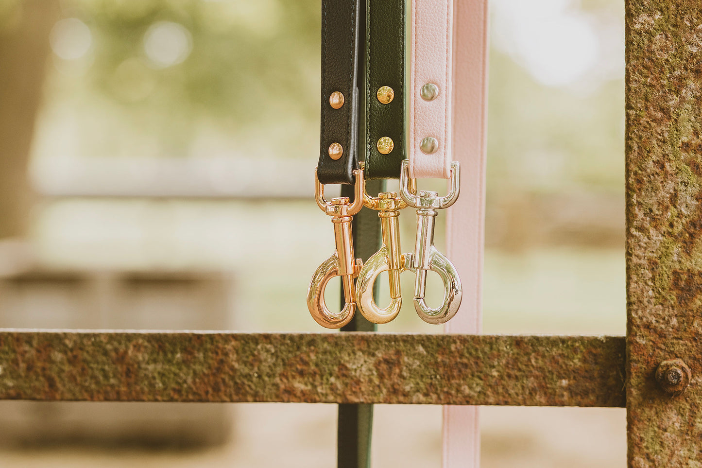 Hondenlijn Midnight Rose