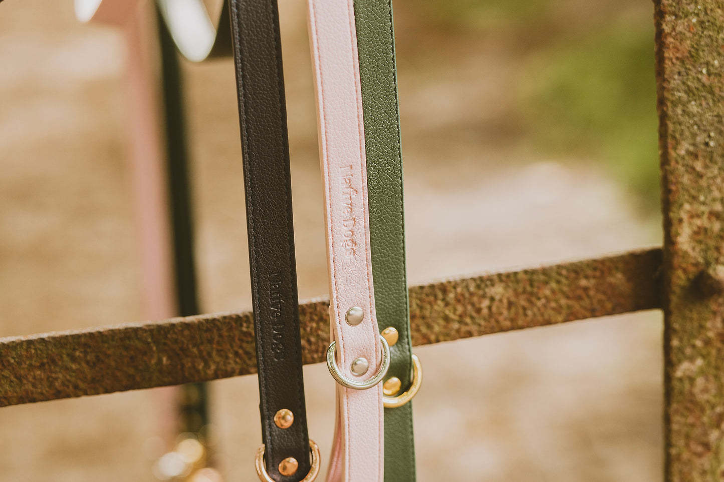 Hondenlijn Blush Aurora