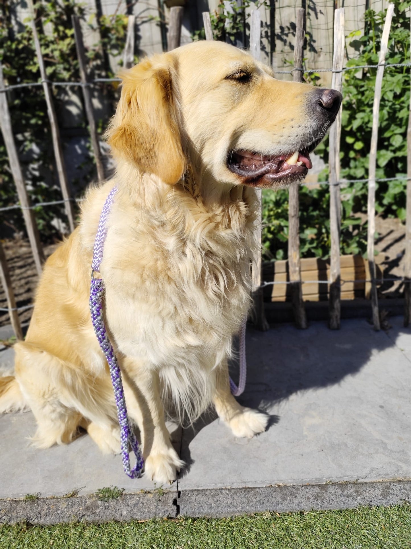 Duo lijn - 2 kleuren