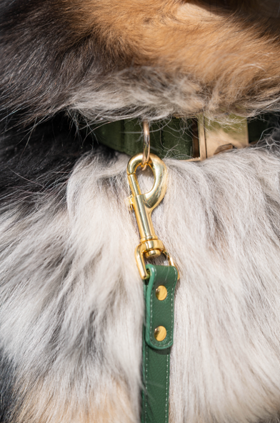 Hondenlijn Twilight Forest